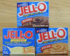 Jell-o-pudding.jpg (249945 bytes)